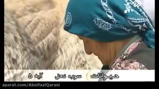 الرحمن...
