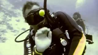 شکستن تخم مرغ در اعماق آب