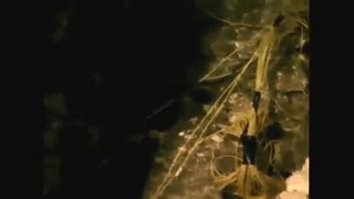 تونل گوتارد، طولانی ترین تونل راه آهن جهان