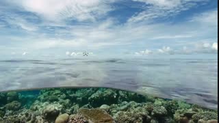 Living in the Age of Airplanes 2015