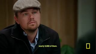 فیلم Before the Flood 2016