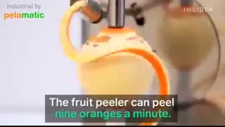 میوه پوست کن - میوه دانه