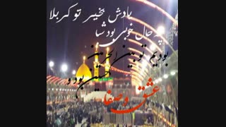 بچه هاااا ازکربلا برگشتم