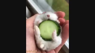 اوخیییییییی #^_^