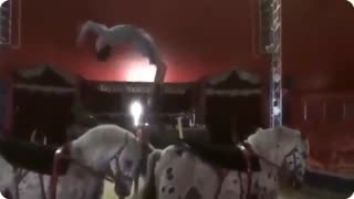 انسانهای شگفت انگیز