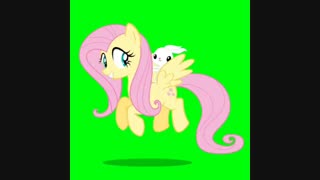 معرفی اولین و واقعی ترین گروه پونی در جهان