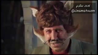 آهوی پیشونی سفید