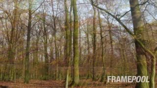 Timelapse Stock Footage Showreel