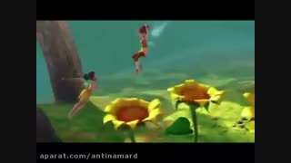 معرفی اعضای گروهم