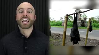 10 حیوان غیر معمول عظیم الجثه که وجود دارند