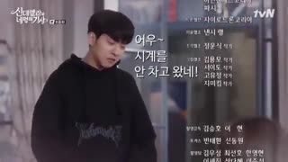 سیندرلا و چهار شوالیه