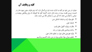 خدمات انجمن کلیوی قزوین