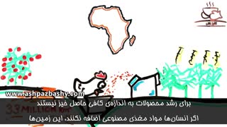 چه می شود اگر تمام دنیا گیاه خوار شوند؟