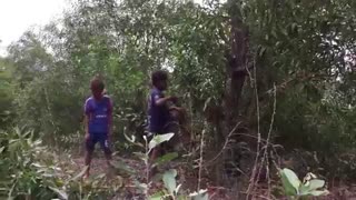 به دام انداختن مار بزرگ توسط این دو بچه در کشور کامبوج-حتما ببینید