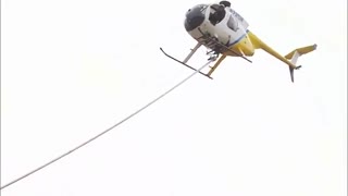 پیرایش درختان توسط هیلکوپتر ...