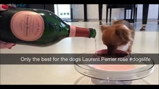 کودکان و نوجوانانی که از راه اسنپ چت ثروتمند شده اند-حتما ببینید