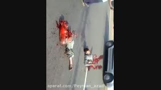 فقط نیگا کن