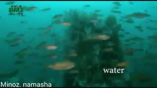 ❤اوپا لی مین هو ❤ 2016.12.6 خیلی داغ داغ همین امروز منتشرشده  تریلر مستند رازبقا DMZ تولیدشبکهMBCبا همکاری اوپا پخش2017