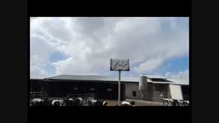 شرکت کشت و دام مجتمع  امداد اصفهان