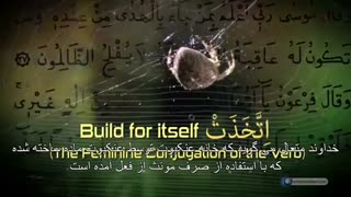 اعجاز قرآن - خانه عنکبوت