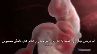 اعجاز قرآن - تکه گوشت جویده شده