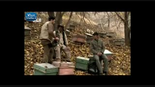 سریال هوش سیاه2 - 24
