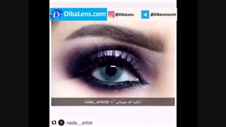 آناستازیا  ادیکت-طوسی|DibaLens.com-Addict Gray