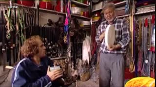 سینمایی ایرانی اسب