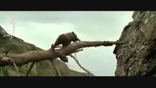 ویدئو بسیار عالی و تاثیر گذار و انگیزشی "هرگز تسلیم نشو"