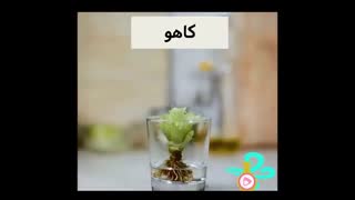 فیلم آموزشی ترفندهای آشپزخانه  – قسمت پنجم