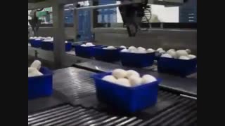 دستگاه بسته بندی قارچ