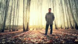 محمد انصاری - تردید