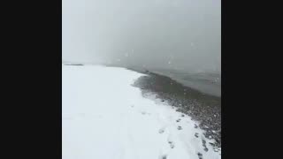 برف و ساحل