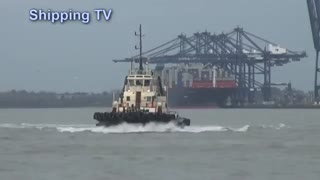 پهلو گیری بزرگترین کشتی کانتینری خط کشتیرانی CSCL