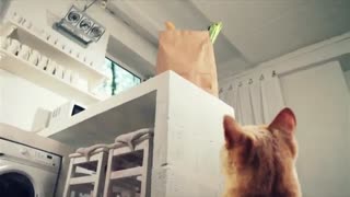 قسمت1 انیمیشن om nom