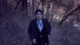 EXO-FOR LIFE-Music Video-V.K