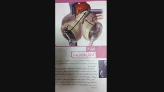 درس زیست دهم:((((