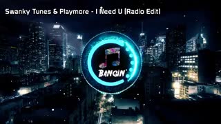 Swanky Tunes - I Need U