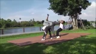 Donnie yen در برابر Tony jaa