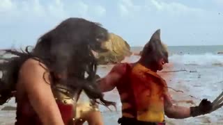 Wonder woman vs wolverine alga eanding