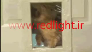 کاندوم Redlight اینطورى از ورود اسپرم جلوگیرى میکنه!