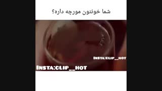 شرمندع اگر وقت نمیکنم همه ویدیو هاتونو لایک کنم تا جایی بتونم لایک میکنم :)