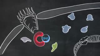 مکانیسم عمل ترکیبات دارویی