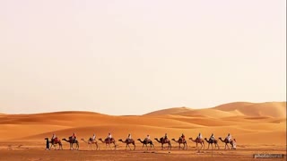 سه تار نوازی استاد کلهر