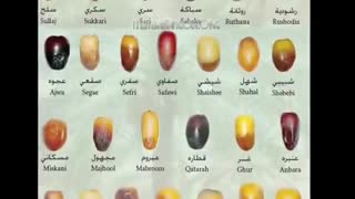 با خواص و انواع گوناگون خرما آشنا شوید