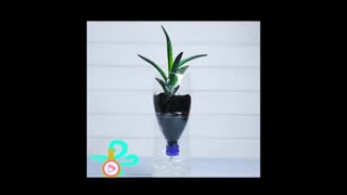 ایده های جالب با بطری نوشابه