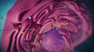 Biology- Cell Structure