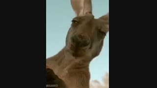 مراقبای سر امتحانا