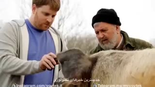 ترجمه صدای حیوانات با اپلیکیشن جدید گوگل