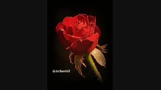 حدیثـــــــــــی قدسی